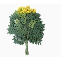 仿真槐花树枝叶装饰道具