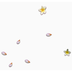 粉色花瓣鸡蛋花漂浮素材