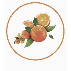 黄色简约橙子装饰图案