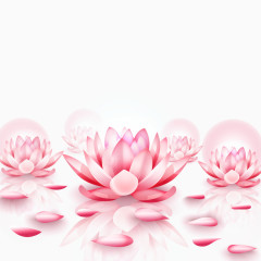 立夏节气荷花素材矢量