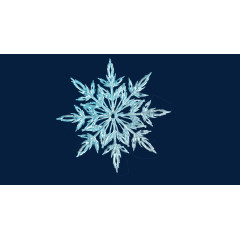 冰晶雪花