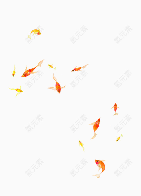 畅游的鱼