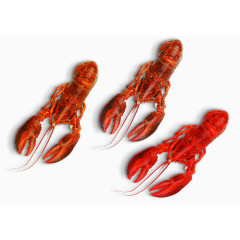 美味的油炸小龙虾