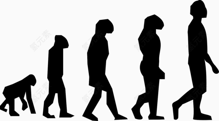 人类进化史