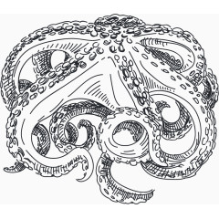 鱿鱼矢量图