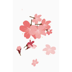 樱花花瓣素材