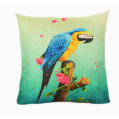 鹦鹉抱枕