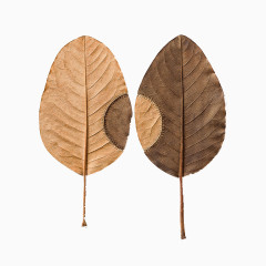 精致树叶雕塑设计