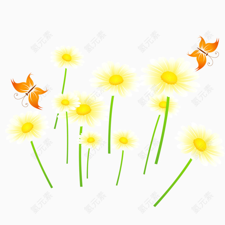 蒲公英的花朵矢量素材