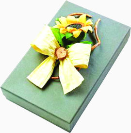 蓝色方形礼品盒