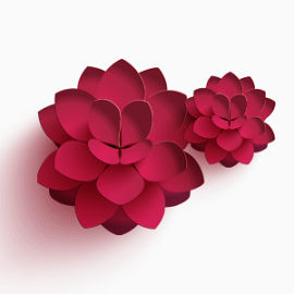 漂浮花朵素材
