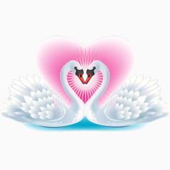 浪漫白天鹅成双对