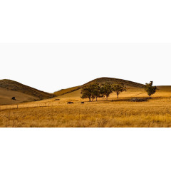 加利福尼亚州的自然风光