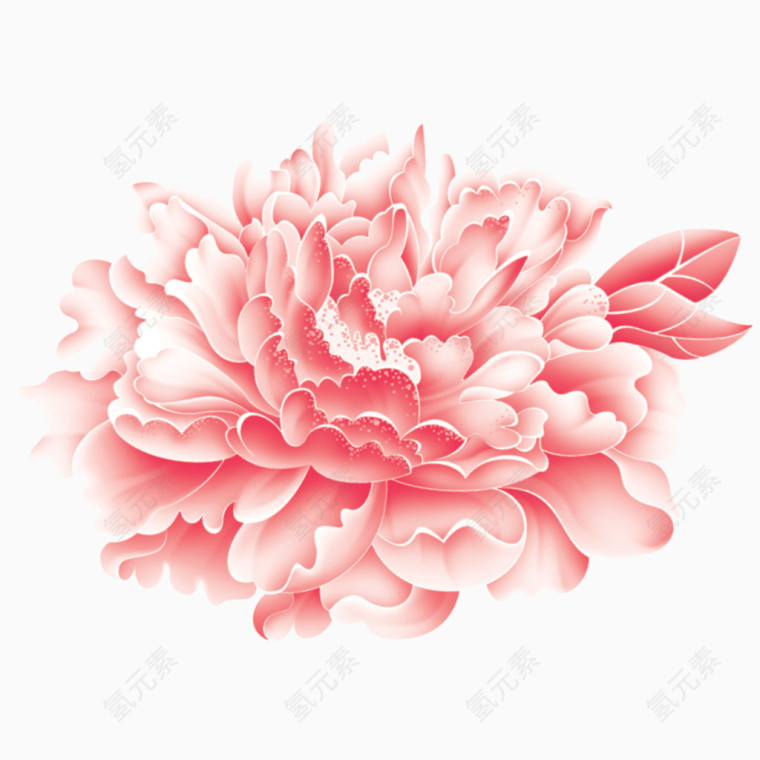 一朵优雅的花