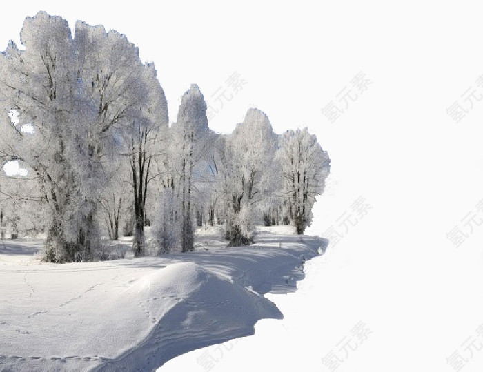 冬天的雪景