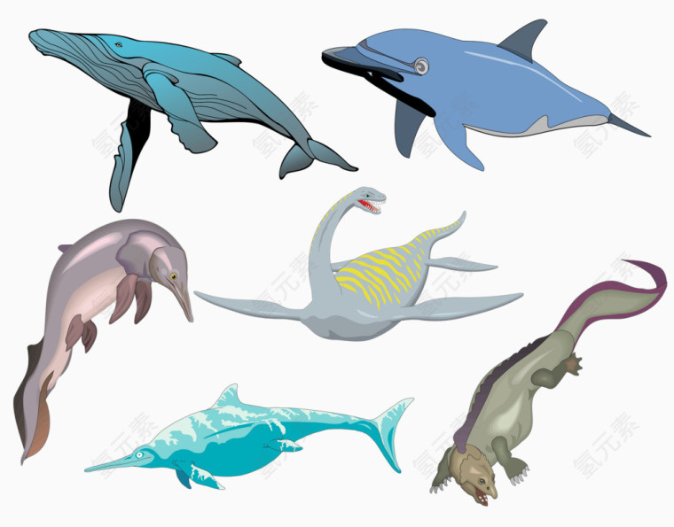 鱼类集合海洋生物大型