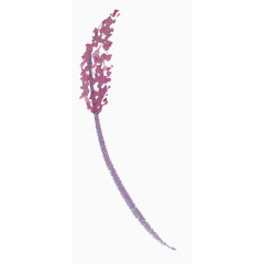 手绘水彩淡雅树枝