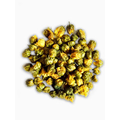 胎菊杭白菊PNG素材