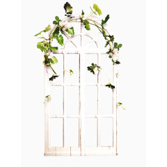 挂满树藤的白色窗户