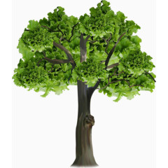创意个性生菜树木