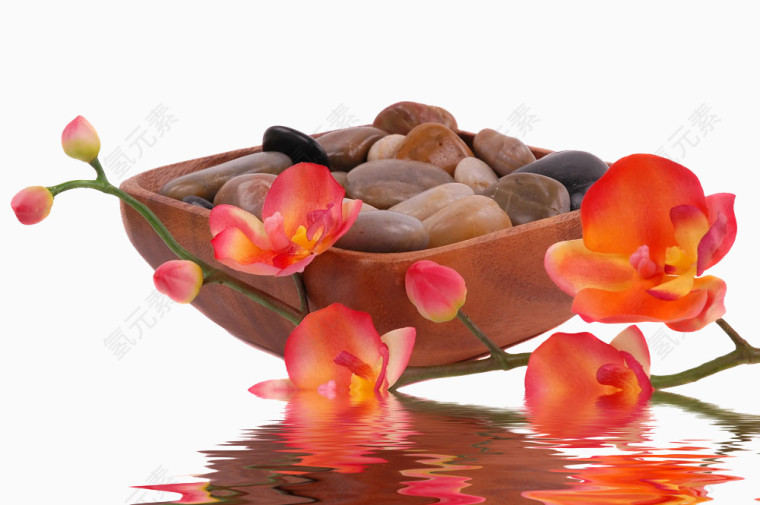 鲜花与鹅卵石图片