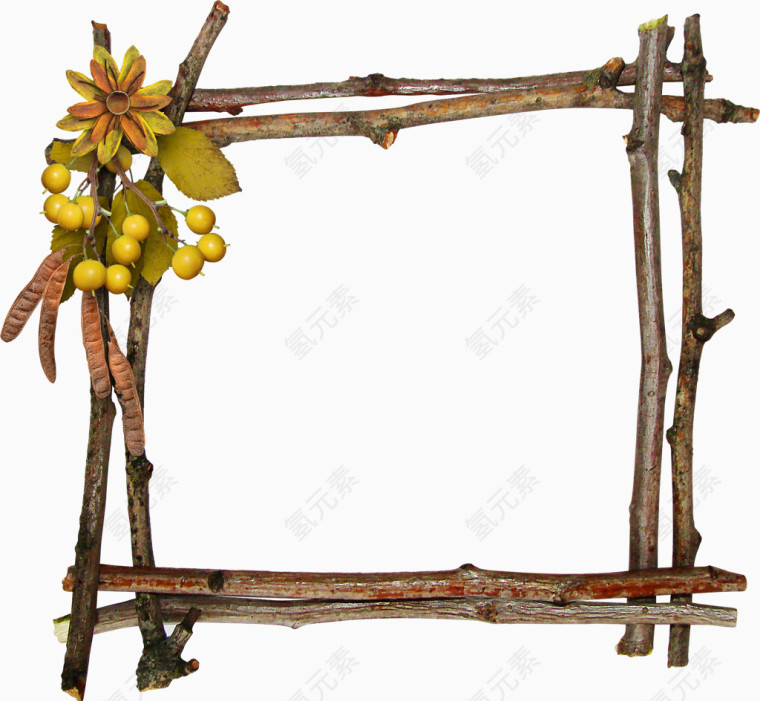 花果木框