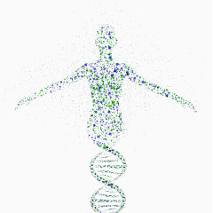分子组成的人物