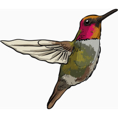 时尚女鞋服新品上市促销优惠