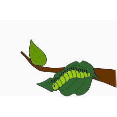 树叶上的绿色毛毛虫