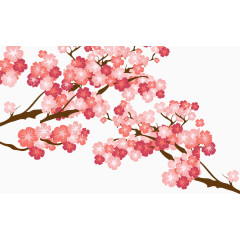 粉色樱花