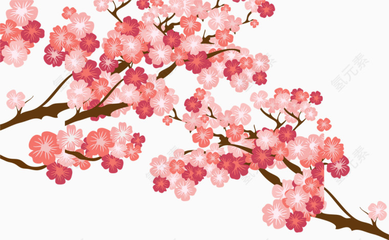 粉色樱花