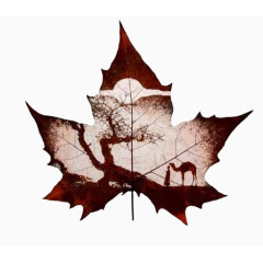 免扣素材枫树叶风景