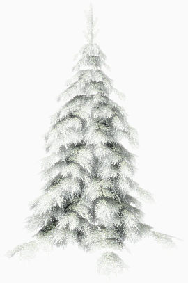 大雪压青松