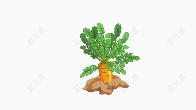 蔬菜