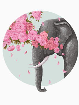 鲜花与大象