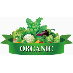 卡通清新蔬菜丝带标题