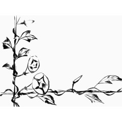 黑色喇叭花素材边框