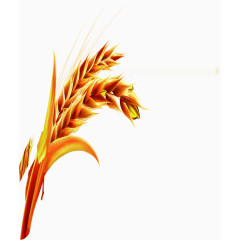 金色麦田图片素材