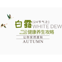 白露健康养生攻略