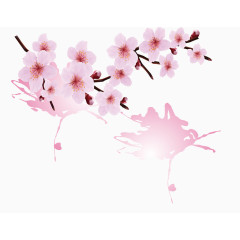 飞溅涂抹樱花