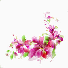 花卉