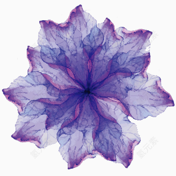 水彩紫色花朵