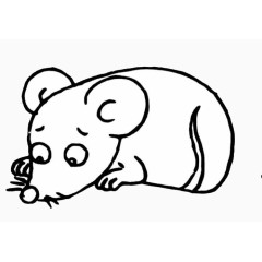 呆萌可爱的老鼠