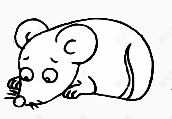 呆萌可爱的老鼠