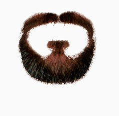 头发   假发   发型