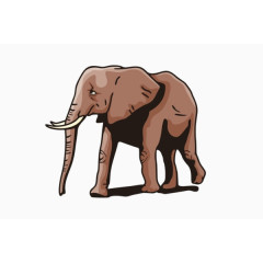 棕色大象