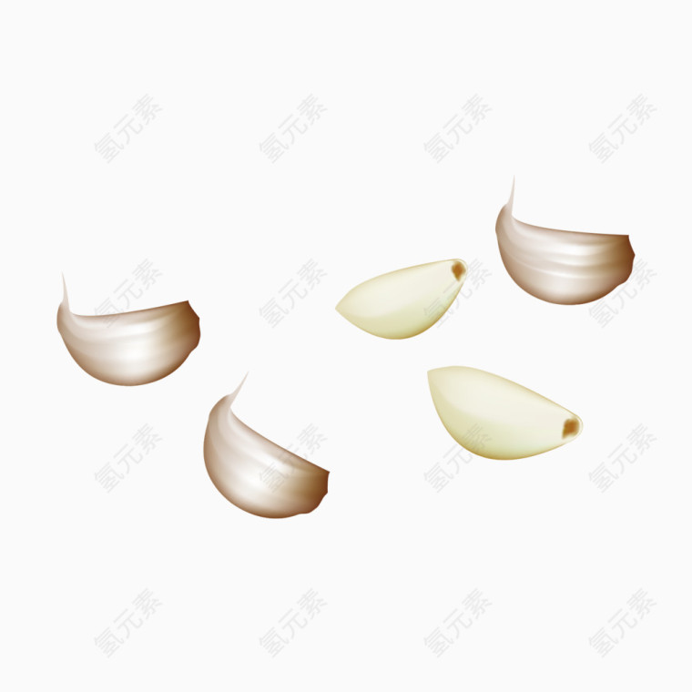 大蒜与蒜瓣