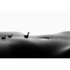 性感美女身体风景