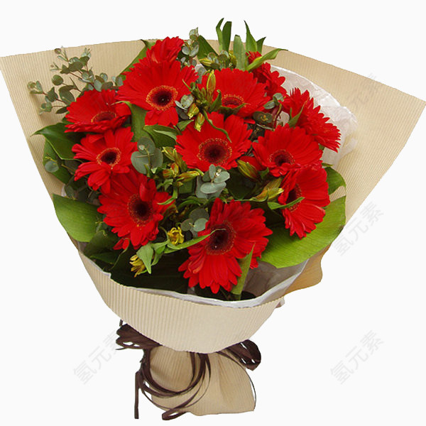 情人红玫瑰图片素材