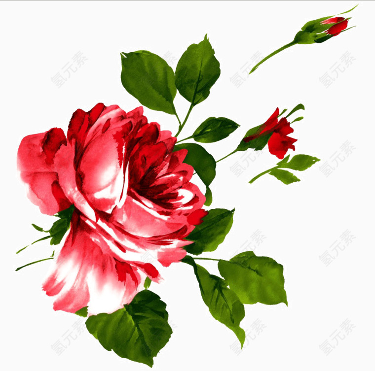 花卉